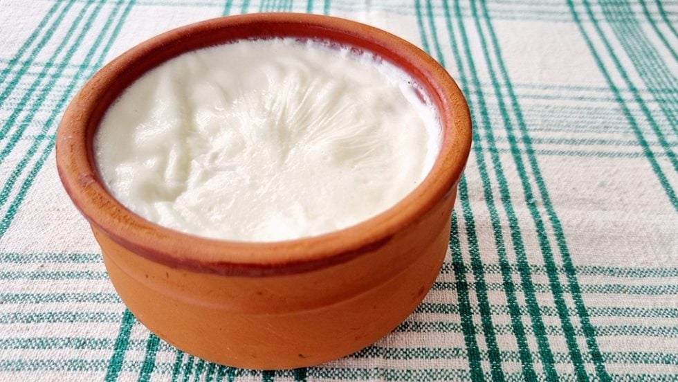 Το γιαούρτι προστατεύει από τον καρκίνο του παχέος εντέρου